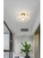 Luxury Classics Avize Şeffaf Camlı Avize Plafonyer Tavan Avize E-27 Duy 5