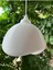 Beton Avize 3D 2