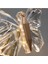 Kelebek Model Gold Kaplama 3 Renk Metal Salon Mutfak Oturma Yatak Odası Modern LED Sarkıt Avize 2