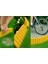 Bahçeshop Star Gardentools Sarı Çim Bordürü 2.3 Metre Çim Ayırıcı Sarı 3