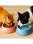 Kedi Kulaklı Mama Su Kabı - 2'li-Mavi 3