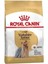 Yüksek Kaliteli Yorkshire Terrier Köpek Maması 1,5 Kg, Renkli ve Lezzetli 2