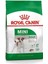 Mini Küçük Irk Yetişkin Köpek Maması, 2 Kg, Renkli ve Lezzetli Seçenekler 1