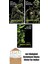 Swamp Thing Efsanesi: 3. Cilt + Swamp Thing Efsanesi: 2. Cilt + Swamp Thing Efsanesi: 1. Cilt 1