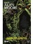 Swamp Thing Efsanesi: 5. Cilt + Swamp Thing Efsanesi: 4. Cilt + Swamp Thing Efsanesi: 2. Cilt 2