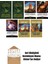 Brandon Sanderson 7 Kitap Seti 1