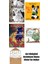 Neil Gaiman 4 Kitap Seti 1