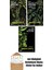 Swamp Thing Efsanesi: 5. Cilt + Swamp Thing Efsanesi: 4. Cilt + Swamp Thing Efsanesi: 1. Cilt 1
