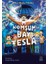 Öğretmenim Bay Einstein + Komşum Bay Tesla 3