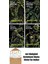 Alan Moore 4 Kitap Seti 1