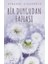 Ayşegül Çiçekoğlu 8 Kitap Seti 3
