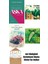 Ayşen Bozkuş 4 Kitap Seti 1