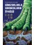 Üç Cisim Problemi Set + Dinozorlarla Karıncaların Öyküsü 3