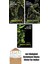 Swamp Thing Efsanesi: 5. Cilt + Swamp Thing Efsanesi: 3. Cilt + Swamp Thing Efsanesi: 1. Cilt 1