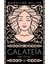 Galateia + Akhilleus’un Şarkısı 2