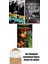 Yıldız Tozu + Sandman 10 – Matem + Sandman 9 – Merhametliler 1