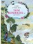 Beren ile Luthien + Hobbit (Özel Ciltli Baskı) + Tom Bombadil’in Maceraları (Özel Ciltli Baskı) 4