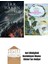 Númenor’un Düşüşü + Tom Bombadil’in Maceraları (Özel Ciltli Baskı) 1