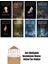 Steven Erikson 8 Kitap Seti 1