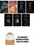 J.r.r. Tolkien 7 Kitap Seti 1