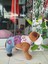 Kedi&köpek Slopet Askılı Pantolon 3