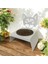 Sevimli Kedi ve Köpek Için Beyaz Paslanmaz Mama ve Su Kabı, Ergonomik ve Şık Tasarım 4