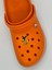 Hayvan Figürü Temalı Crocs Süsü 1