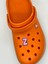 Z Harfi Temalı Crocs Süsü 1