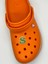 Dolar Görseli Temalı Crocs Süsü 1