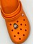 Yavru Tazmanya Canavarı Temalı Temalı Jibbitz Crocs Terlik Süsü 1
