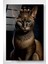 Kral Kedi Cam Tablo, Dekoratif Cam Tablo 1