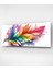 Renkli Tüy Cam Tablo, Dekoratif Cam Tablo 4