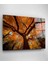 Ağaç Cam Tablo, Dekoratif Cam Tablo 3
