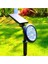 18W Ledli Solar Kazıklı Bahçe Armatürü Yeşil Işık 2