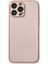 Newface iPhone 13 Pro Kılıf Coco Karbon Silikon - Pembe 1