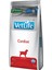 Vetlife Cardiac Köpek 10 kg 1
