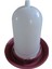 Civciv Suluk 750 Ml + Civciv Yemlik 750 Gr Kuş Bıldırcın Tavuk Suluk Yemlik 2