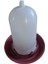 Civciv Suluk 750 Ml + Civciv Yemlik 750 Gr Kuş Bıldırcın Tavuk Suluk Yemlik 3