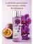Vücut Spreyi Body Mist | Bombshell | Midnight Wishes | Kadın | Işıltılı | Nemlendirici | 250 ml 2