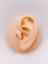 Cerrrahi Çelik Piercing ( Pirsing ) Taşlı Tasarım Çivi Tragus Helix Piercing (1ADET) 1