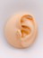 Cerrrahi Çelik Piercing ( Pirsing ) Zirkon Taşlı Kirpik Figürlü Tragus Helix Piercing (1ADET) 1
