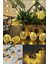 Renkli Piliyle Ananas Desenli Şerit LED Işık 1 Metre 2
