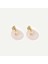 14 Ayar Altın Kaplama Gerçek ve Doğal Donut Rose Quartz Taşlı Halka Küpe - ES00153 4