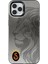 iPhone 11 Pro Max Uyumlu Galatasaray 5 Yıldız Aslan Premium Lisanslı Telefon Kılıfı 1