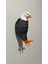Renkli 3D Kartal Şeklinde Pilli Dekoratif Gece Lambası 3