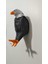 Renkli 3D Kartal Şeklinde Pilli Dekoratif Gece Lambası 6