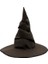Harry Potter Seçmen Şapka Yetişkin Boy 1