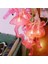Renkli LED Flamingo Zinciri, Pilli, Dekoratif, 1.5 Metre, Aydınlatma 3