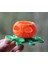Cadılar Bayramı Jack-O-Pus Yoksa Octolatern Mi? (Plastik Aparattır!!!) 3D 1