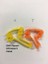 Dna Oyun Seti (Plastik Aparattır!!!) 3D 2